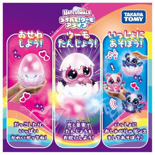 タカラトミー うまれて! ウーモ アライブ パンドゥー 【公式通販】