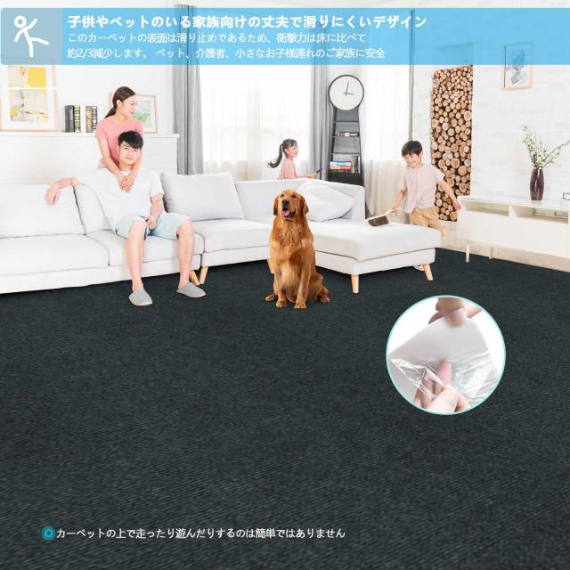 Bolinker ロングカーペット ズレない 洗える 撥水 おしゃれ 無地 カーペットタイプ TPR 防音 ラグ ペット 置くだけで吸着マット 80×600c_4