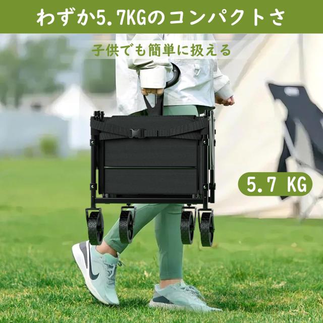 Raynesys キャリーワゴン 小型 容量65L-90L 耐荷重100kg 長物対応 後部