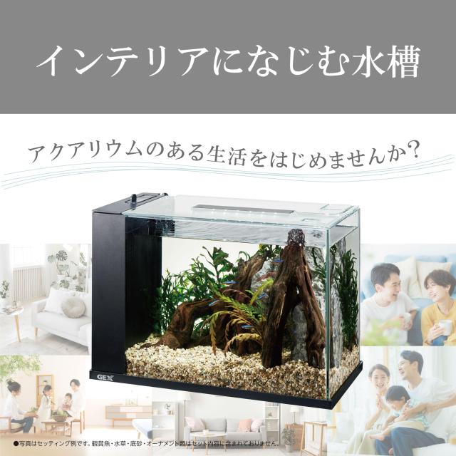 ジェックス GEX アワーズブラック アクアリウム用インテリア水槽 誰