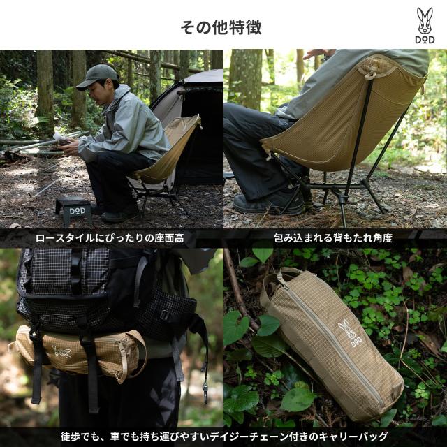 DOD(ディーオーディー) スワルスエックス2 バックパック ピッタリサイズ しっかり安定 コンパクト 軽量 チェア C1-161-TN