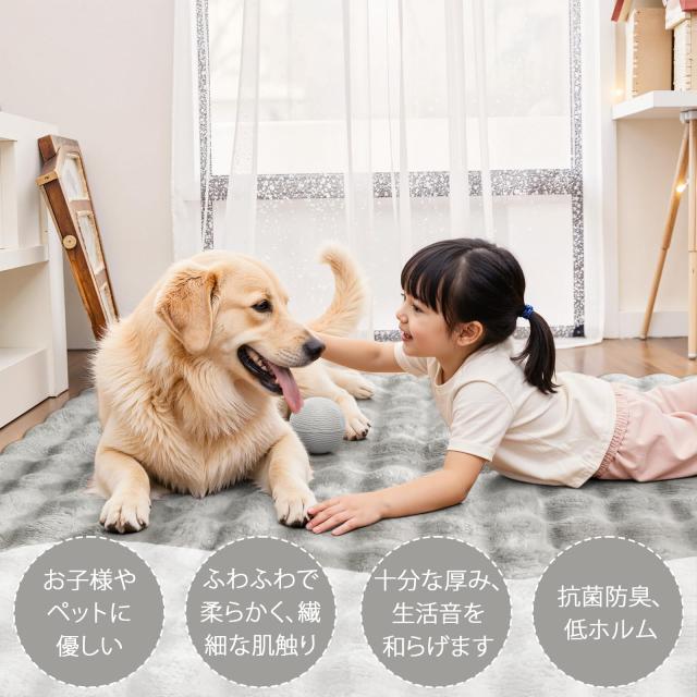 HAOCOO カーペット 約3畳 洗える ラグ 200х250cm ラビットファー調 厚手 シャギー ふわふわ 滑り止め 低反発 オールシーズン適用 北欧風_1