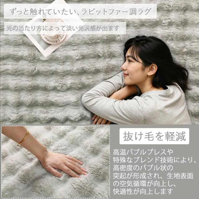 HAOCOO カーペット 約3畳 洗える ラグ 200х250cm ラビットファー調 厚手 シャギー ふわふわ 滑り止め 低反発 オールシーズン適用 北欧風_2