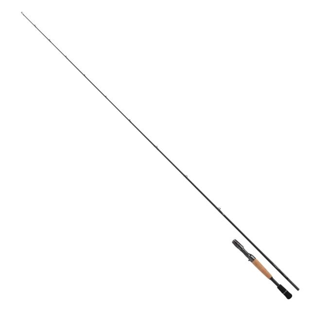 ダイワ(DAIWA) バスロッド STEEZ C66M