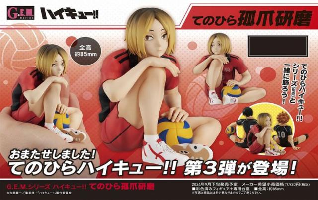 【新品/公式】ハイキュー!!_G.E.M.シリーズ てのひら孤爪研磨 公式グッズ colleize 公式ライセンス