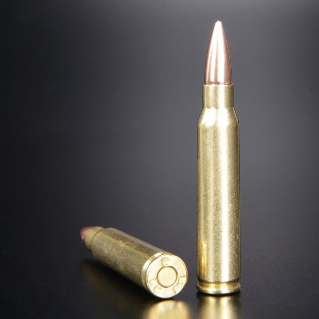 RIGHT リアルダミーカート 5.56×45mm NATO弾 10発セット ベルリンク付[ra00034]の通販はau PAY マーケット -  レプズギア | au PAY マーケット－通販サイト