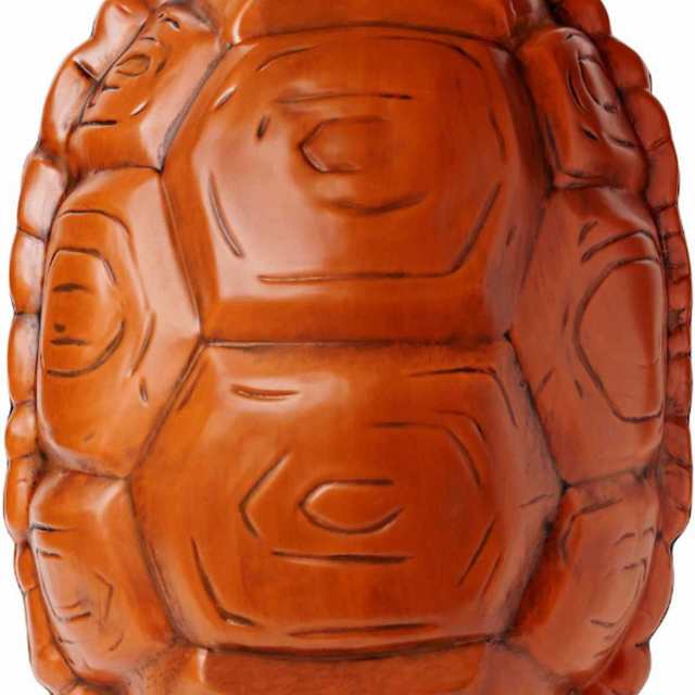 ミュータントタートルズ コスプレ 甲羅 子供用 衣装 キッズ 子供 コスチューム ハロウィン Teenage Mutant Ninja Turtlesの通販は
