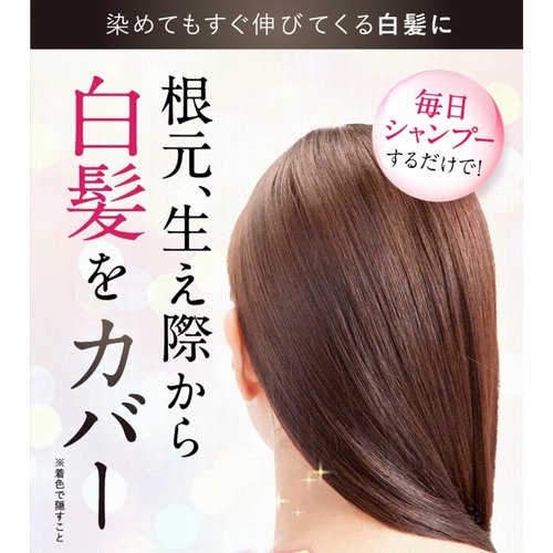 Sastty白髪用 利尻カラーシャンプー お徳用 500ml ダークブラウン_2