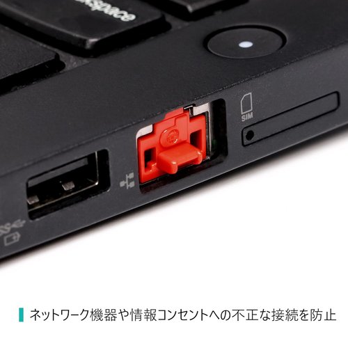 パンドウイット LANポート セキュリティブロック 100個入 赤 PSL-DCJB-C_3