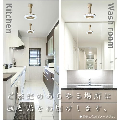 ドウシシャ サーキュライト ソケットモデル 引掛シーリ 40W相当 調光2段切替 リモコン付 DSLH60NDW