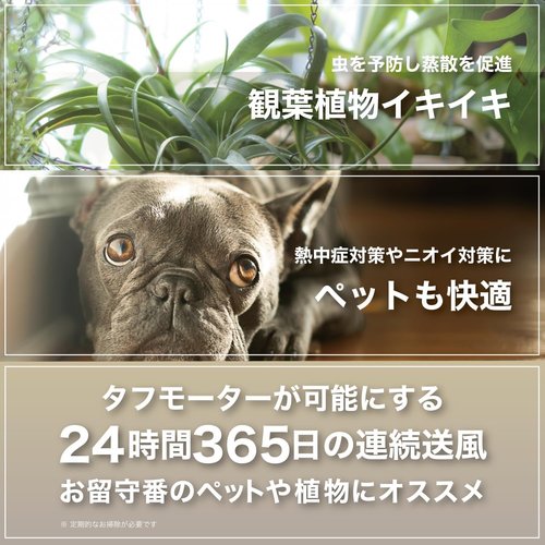 ボルネード サーキュレーター タフモーター 12畳 パ 衣類乾燥 24時間365日使える ブラック 52-JP_5