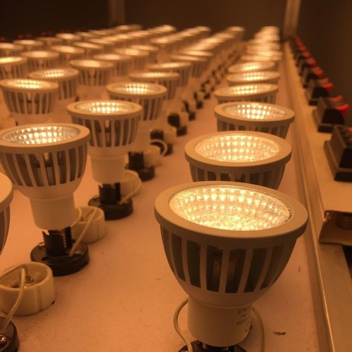 FWAYTECH ez10 led電球 12V COB 球色相当 2700K 7W EZ10口金 60度 6