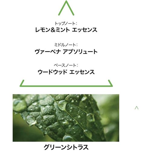 ル クヴォン メゾン ド パルファム ボタニカルコロン パルファム