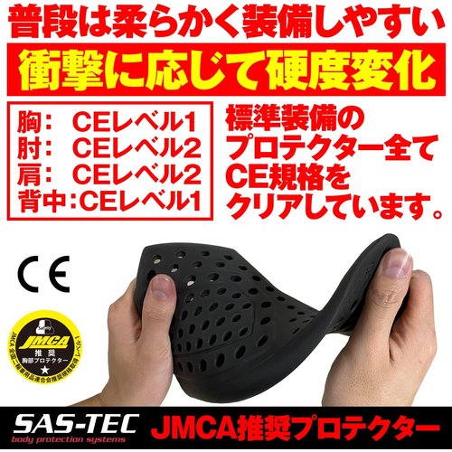 デイトナ Daytona SAS-TEC サステック P-018 ブラック WFサイズ