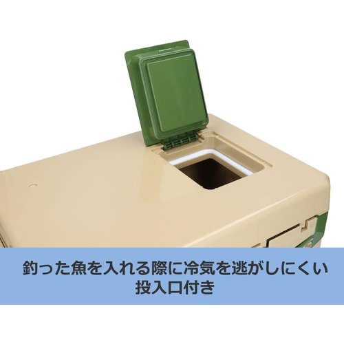 ダイワ DAIWA クーラーボックス 釣り／アウトドア ライトソルト 10