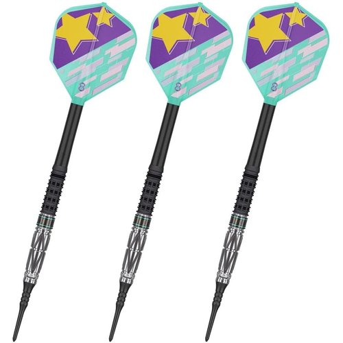 TARGET ターゲット THE MIRACLE G4 22】 鈴木未来選手モデル ダーツ