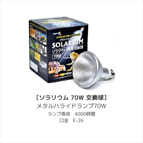 照明機器 ゼンスイ ソラリウムセット(メタルハライドランプ+灯具) 50W