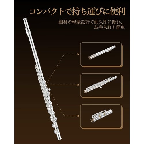 Eastar フルート カバードキー 銀メッキ 16穴 初心者セット シルバー