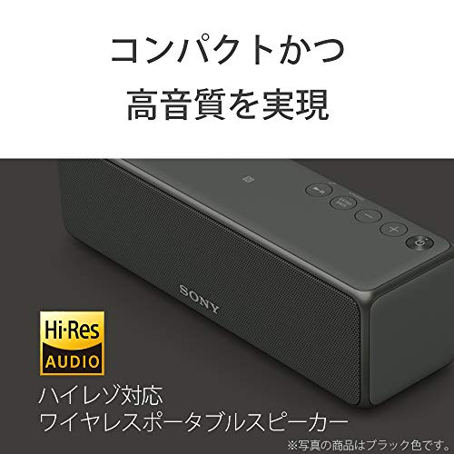ソニー ワイヤレスポータブルスピーカー SRS-HG10 : Bluetooth/Wi-Fi