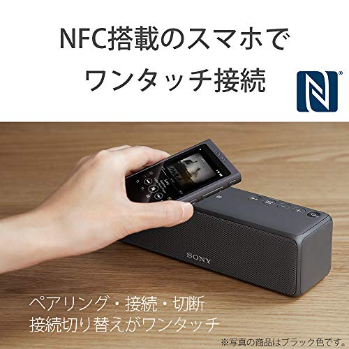 ソニー ワイヤレスポータブルスピーカー SRS-HG10 : Bluetooth/Wi-Fi