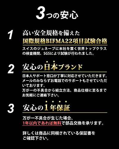 EastForce 腰・肩・首・腕 サポート 多機能チェア メッシュ座面 日本