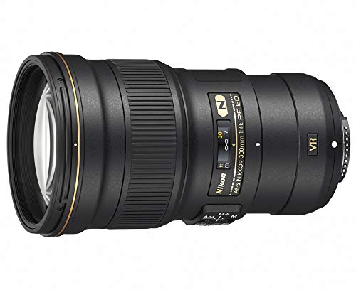 Nikon 単興味の中心水晶体 AF-S NIKKOR 300粍 f/4E PF ED VR フルサイズ相応う AFSVRPF300 4