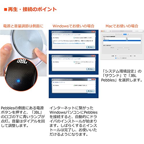 JBL Pebbles バスパワードスピーカー USB/DAC内蔵 黒いこと JBLPEBBLESBLKJN