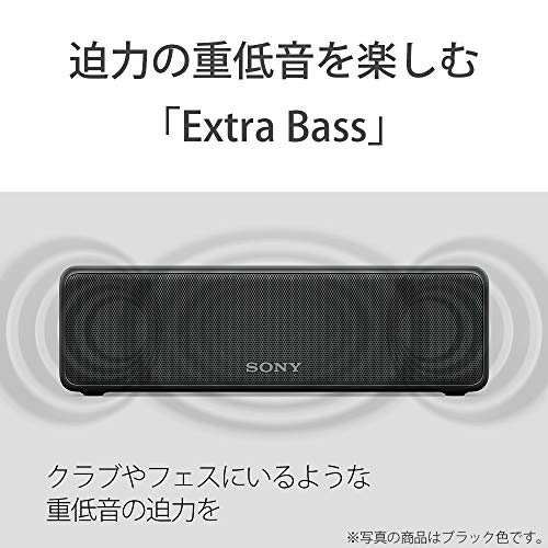 ソニー ワイヤレスポータブルスピーカー SRS-HG10 : Bluetooth/Wi-Fi