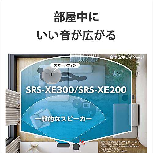 ソニー ワイヤレススピーカー SRS-X300 :防水 IP67/広いリスニングエリア/ハンズフリー通話/ロングバッテリー 24時間/SRS-XE300 LC ブルー 普通の通販は