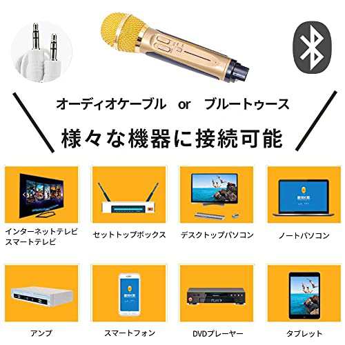 SDRD カラオケ Bluetooth マイク２本 カラオケマイク 家庭用 ホームKTV