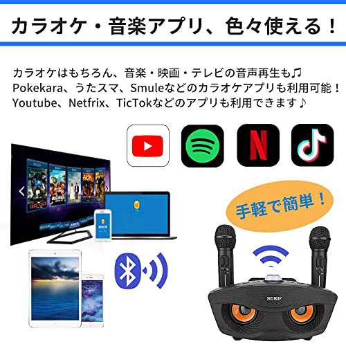 SDRD カラオケ Bluetooth マイク２本 カラオケマイク 家庭用 ホームKTV