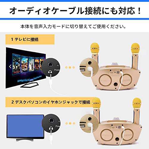 SDRD カラオケ Bluetooth マイク２本 カラオケマイク 家庭用 ホームKTV ワイヤレスマイクシステム 2ハンドヘルドマイク 子供  (ブラック)の通販はau PAY マーケット - RUMBLE | au PAY マーケット－通販サイト