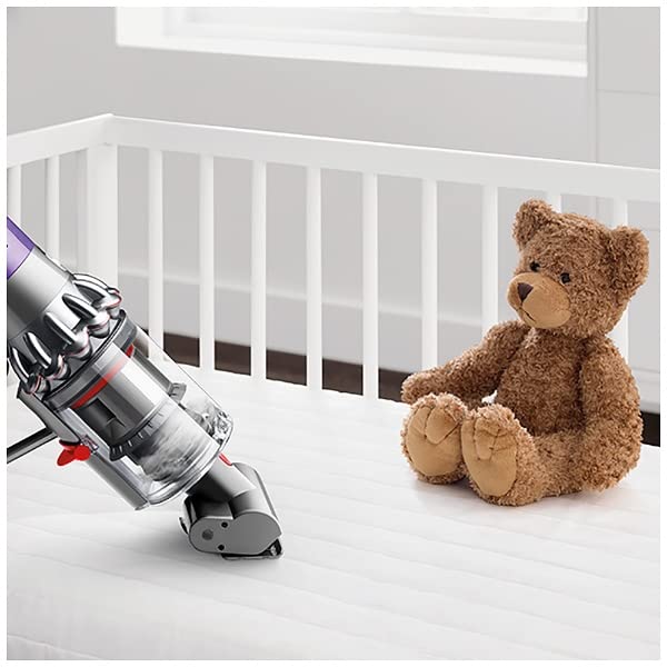 Dyson Cyclone V10 Fluffy SV12 FF LF_4