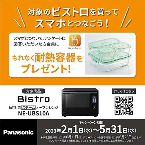 パナソニック オーブンレンジ スチーム ビストロ 最高峰モデル 30L 2段