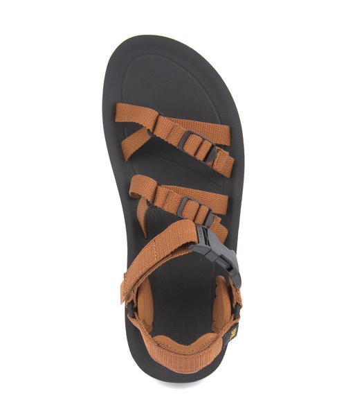 teva m alp premier