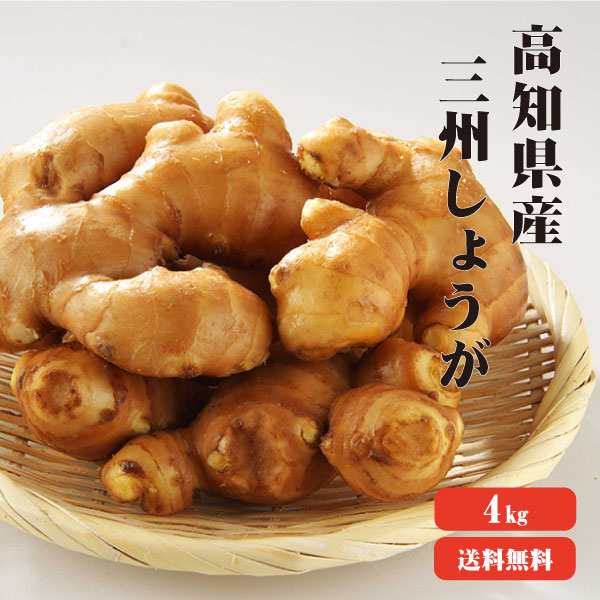 高知産生姜使用 濃い黄金しょうが飴 80g×4袋 送料無料 生姜 高知県産 生姜飴 のど飴 温活 冷え対策
