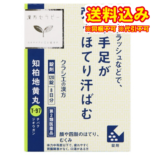 定形外）【第2類医薬品】JPS知柏地黄丸料エキス錠N　120錠