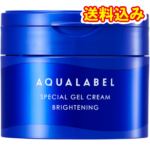 【医薬部外品】アクアレーベル　スペシャルジェルクリーム　EX　ブライトニング　本体　90g