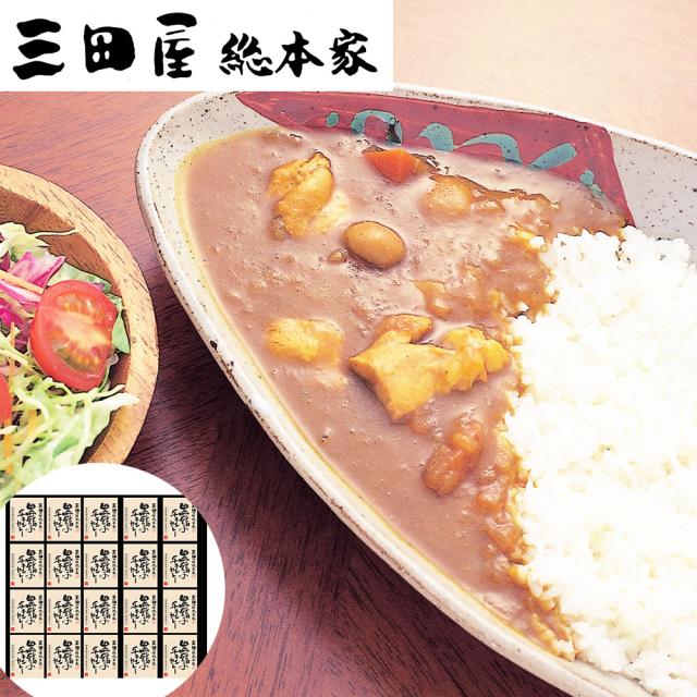 風と光 奄美カレー 甘口 180g×24 風と光 奄美カレー 甘口 180g×24 代引き不可&frasl;同梱不可