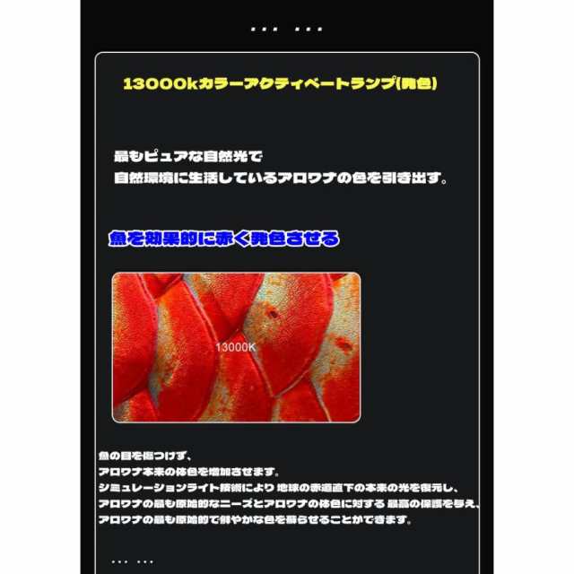 MAYIN マイン馬印 112cm 13000k テンニングライト セラミック
