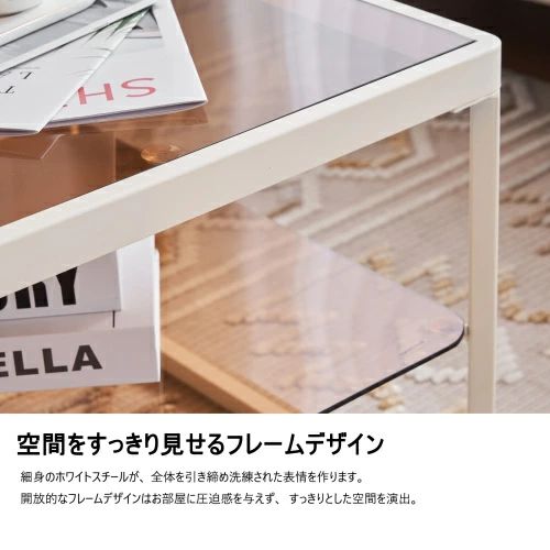 ガラステーブル センターテーブル ガラス天板 2点セット 茶色ガラス LPP-WF308366AAAの通販は