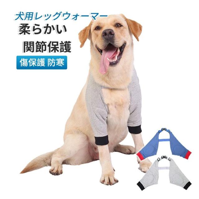 2024最新 豆乳メーカー1.2L/1.5L大容量・12つの調理モード12時間予約 スープ お粥 ジャム 電気ジューサー ミキサー 304ステンレス 濾過不要 小型 静音熱い飲み物 1.2リットル冷たい飲み物 1.5リットルの通販は