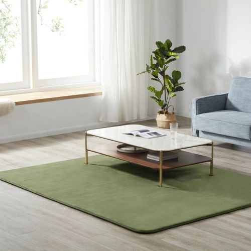 ラグ 低反発 はっ水 ラグマット 極厚20mm 抗菌防臭 200×250cm カーペット 厚手 滑り止め 洗える 角型 撥水 床暖房 ホットカーペット おしゃれ 防カビ 防ダニ オールシーズン LPP-TH307843の通販は