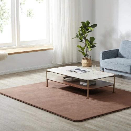 ラグ 低反発 はっ水 ラグマット 極厚20mm 抗菌防臭 200×250cm カーペット 厚手 滑り止め 洗える 角型 撥水 床暖房 ホットカーペット おしゃれ 防カビ 防ダニ オールシーズン LPP-TH307843の通販は