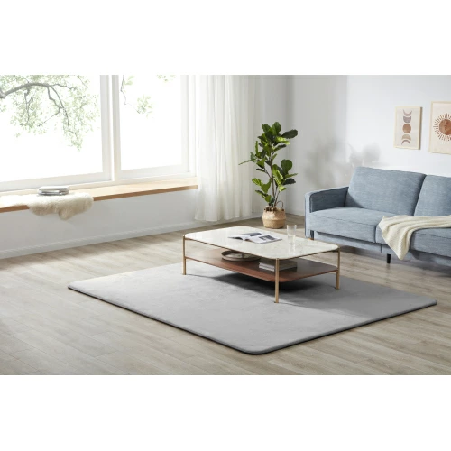 ラグ 低反発 はっ水 ラグマット 極厚20mm 抗菌防臭 200×250cm カーペット 厚手 滑り止め 洗える 角型 撥水 床暖房 ホットカーペット おしゃれ 防カビ 防ダニ オールシーズン LPP-TH307843の通販は