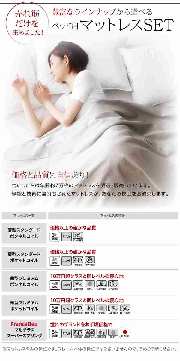 ベッドフレーム ベッド シングル 1人暮らし ワンルーム 組立設置付 通気性抜群 ガス圧式大容量跳ね上げベッド ベッドフレームのみ 縦開き