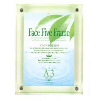 アートプリントジャパン フォトフレーム フェイスファイブフレーム A3対応 グリーン・30736848 フォトフレームの通販は