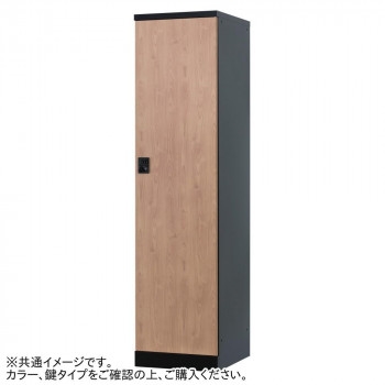 豊國工業 オール扉タイプ1人用(ダイヤル錠) RLK-TTD145-BNT の通販は