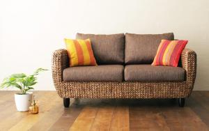 スタンダードソファ デザインソファ ウォーターヒヤシンスシリーズ ソファ 2Pの通販は