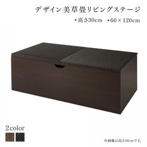 リビング収納 チェスト キャビネット タンス テレビ台 国産 収納付きデザイン美草畳リビングステージ 畳ボックス収納 120×60cm ロータイプの通販は